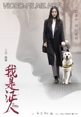 Свидетель (2015) смотреть онлайн